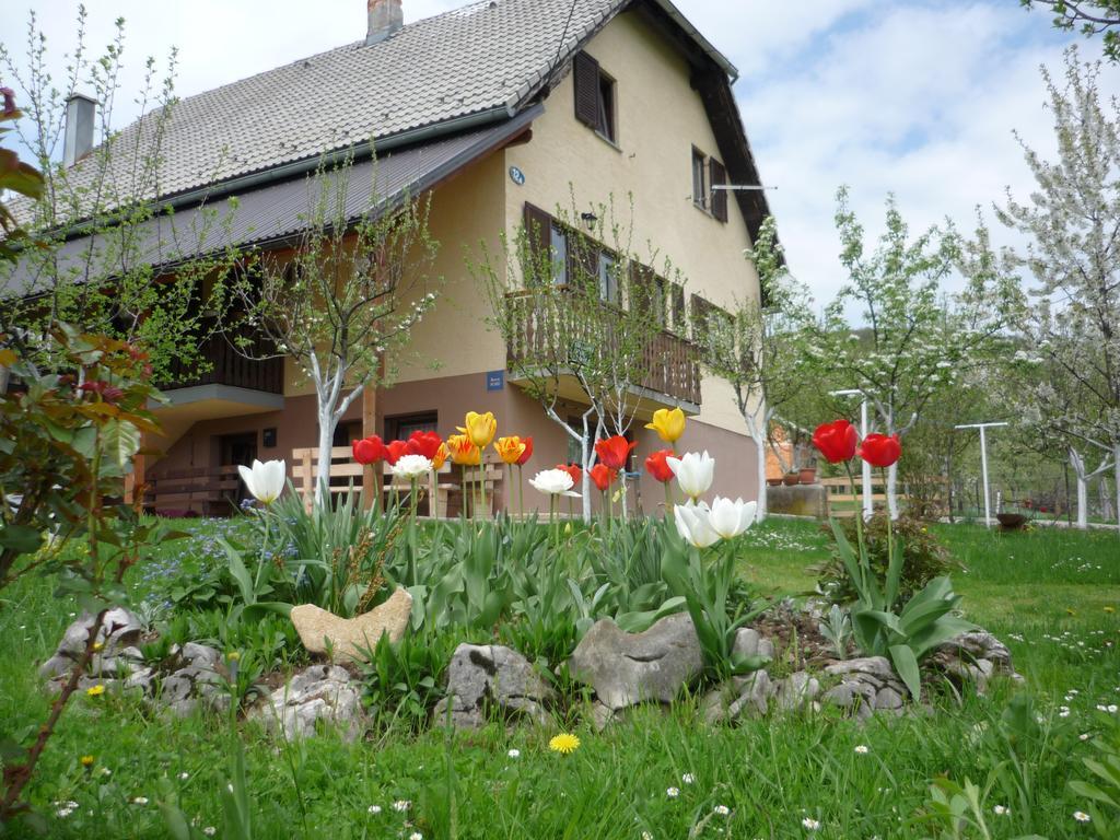 Guesthouse Anka Plitvica selo Exterior photo